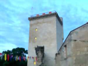 photo Visite nocturne de la Tour de l'Honneur