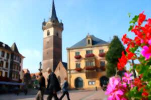 La vieille ville d'Obernai Réf 01