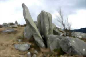 photo Club Vosgien : Le tour du Steinberg