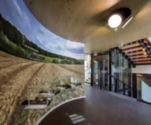 photo Visite guidée: Du musée à la villa gallo-romaine