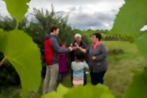 photo Les 7 Péchés Capiteux des vignerons de Bernardswiller