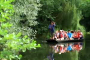 photo Le Ried en barque plate (circuit 1)