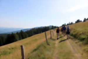 photo Sortie pédestre : les volcans du Rossberg