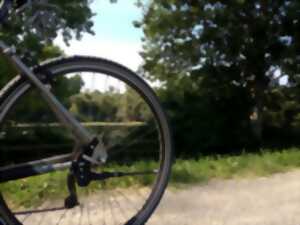 photo Les milieux rhénans en pédalant