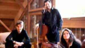 photo Colmar Jazz Festival : Concert  par  Charles Kieny Crozphonics - Vincent Peirani