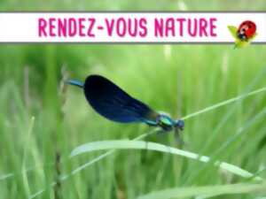 RENDEZ-VOUS NATURE : Découverte nature