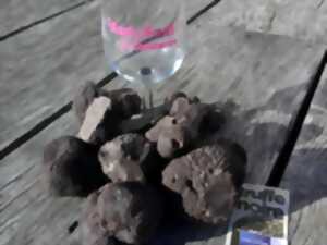 LES AMPÉLOFOLIES DU CABARDÈS - TRUFFE ET VIN