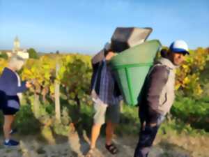 Vigneron d'un jour au Château Caillou