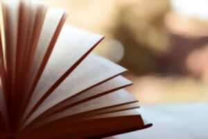 Fête du livre