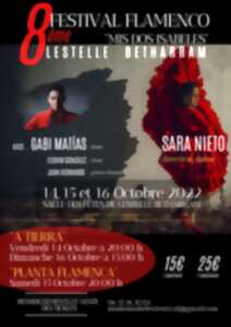 8ème Festival de Flamenco
