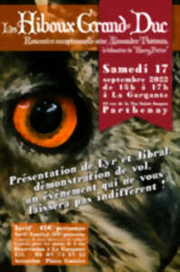 Atelier Fauconnerie avec le hiboutier de Harry Potter