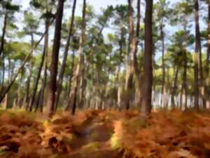 photo Randonnée à Cazalis