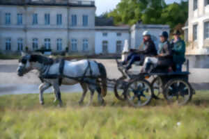 Les galopades en sauternais