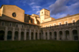 DECOUVERTE DE L'ANCIENNE ABBAYE D'ANIANE