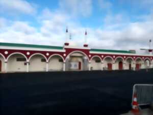 photo Journées du patrimoine : Visite libre de la mosquée d'Agen