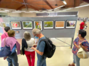 Festival de photos Fest'Images : parcours photographique