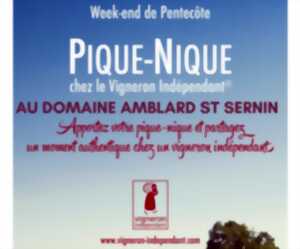 Pique-nique chez le vigneron au Domaine Amblard