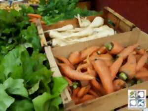 photo Les jardins de Wesserling