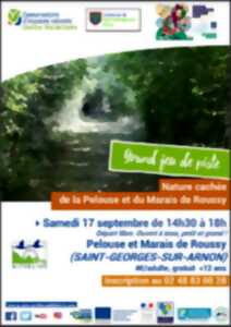 Sur la piste du dragonfly de Roussy