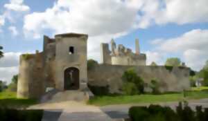 photo Journées Européennes du Patrimoine au château de Mareuil