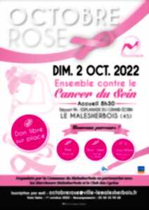 photo 11ème édition d'Octobre Rose à Malesherbes