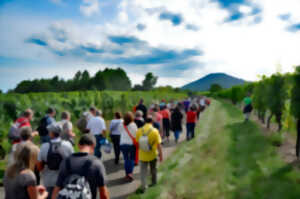 photo Marche gourmande italienne