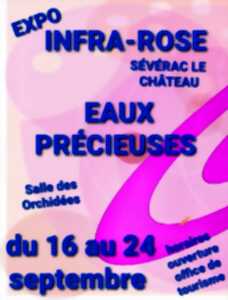 photo Exposition de l'association Infra-Rose à Sévérac-le-Château
