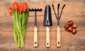 photo Vide-jardin