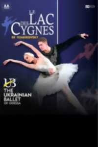 Spectacle - Le Lac des Cygnes