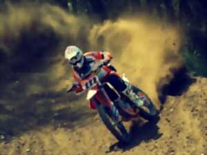 Course sur prairie : motocross à l'ancienne