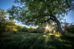 photo TROC’vert de MannaSEL