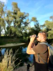 ANIMATION NATURE : SUR LES PAS DU CASTOR D'EUROPE