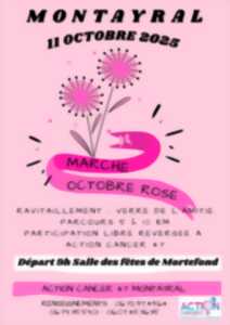 photo Marche Octobre Rose