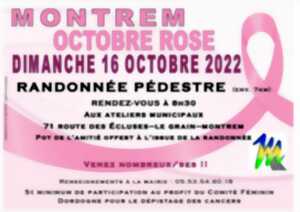 photo Octobre Rose