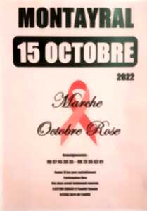 photo Marche Octobre Rose