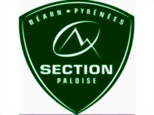 photo Rugby TOP14 Section Paloise - Saison 2024/2025