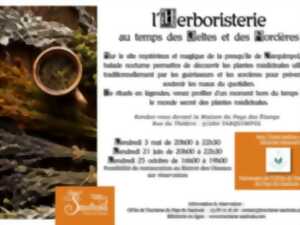 photo Herboristerie - reconnaitre les plantes qui nous entourent