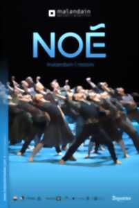 Malandain Ballet Biarritz - Noé