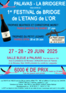 photo FESTIVAL DE BRIDGE