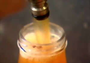 Journées Jus de Pomme