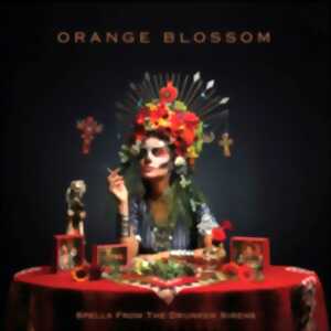 photo Orange blossom