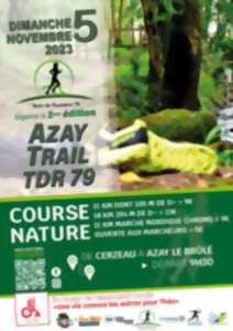 Azay Trail TDR 79