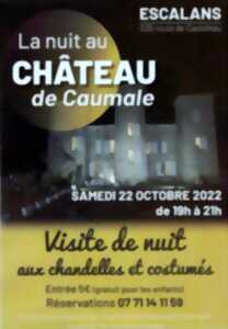 Nuit Européenne des Châteaux : Château de Caumale