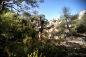 photo Trail des Troubadours 2025- 12 Km - Festival HOKA les Templiers