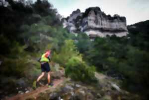 Marathon des Causses 2025  (36.1 km - Festival HOKA les Templiers)