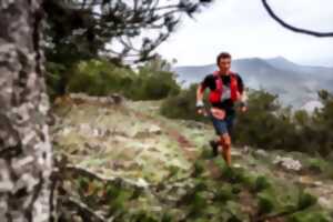 Monna Lisa Trail 2025 (28.5 km - Festival HOKA les Templiers)