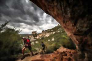 Grand Trail des Templiers 2025 (80 km - Festival HOKA les Templiers)
