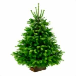 Après-midi de Noël par l'APE Labules à Recoules-Prévinquières