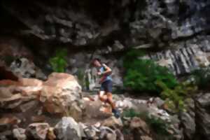 Boffi Fifty 2025 (48.5 km - Festival HOKA les Templiers)