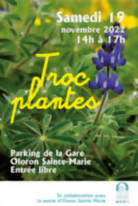 photo Troc plantes